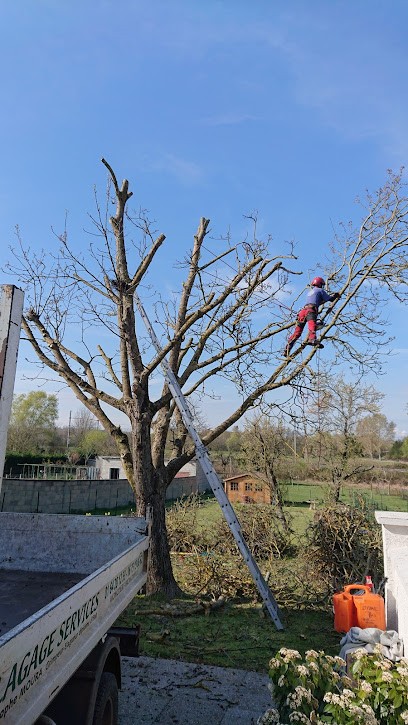 Elagage Services, Elagueur à Montcourt-Fromonville