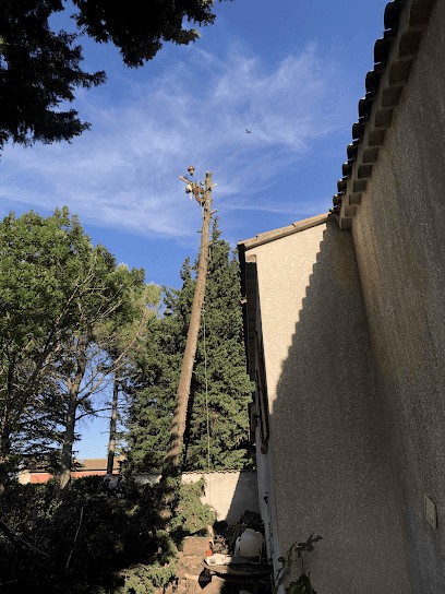 Herrera Exploitation Service, Elagueur à Vatilieu
