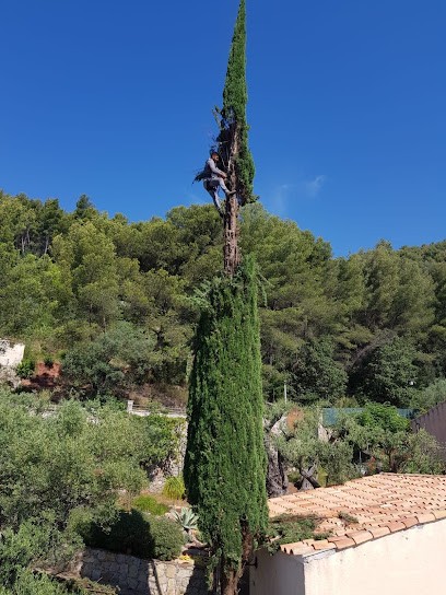 Lagrene Pierre, Elagueur à Normanville