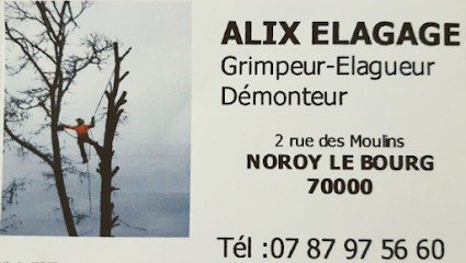 Alix Élagage, Elagueur à Noroy-le-Bourg