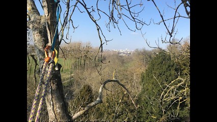 Normandie Arboriste, Elagueur à Messei