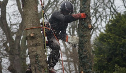 ARBOWIL, Elagueur à Rédené