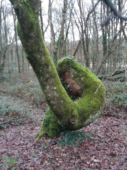 Frêne Ethic, Elagueur à Louverné