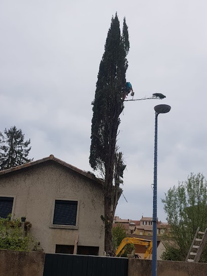 Modeste Ruben élagueur Grimpeur Paysagiste élagage Drôme Isère Ardèche, Elagueur à Parnans
